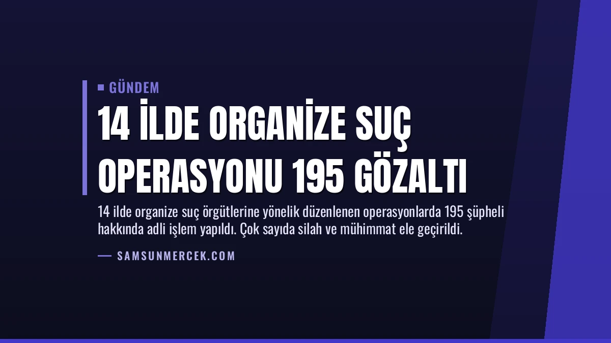 14 İlde Organize Suç Operasyonu 195 Gözaltı