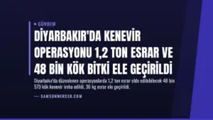 Diyarbakır’da Kenevir Operasyonu 1,2 Ton Esrar ve 48 Bin Kök Bitki Ele Geçirildi