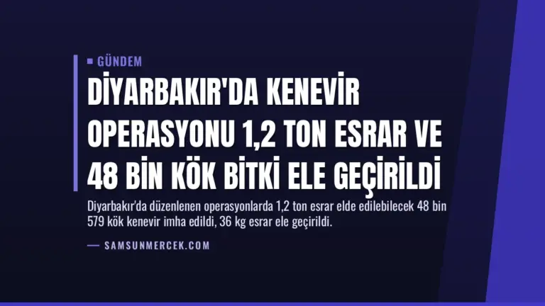 Diyarbakır’da Kenevir Operasyonu 1,2 Ton Esrar ve 48 Bin Kök Bitki Ele Geçirildi