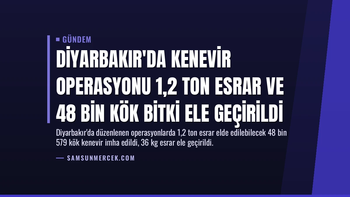 Diyarbakır’da Kenevir Operasyonu 1,2 Ton Esrar ve 48 Bin Kök Bitki Ele Geçirildi