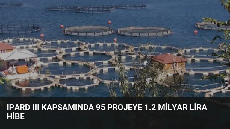 IPARD III Kapsamında 95 Projeye 1.2 Milyar Lira Hibe