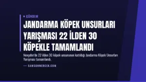 Jandarma Köpek Unsurları Yarışması 22 İlden 30 Köpekle Tamamlandı
