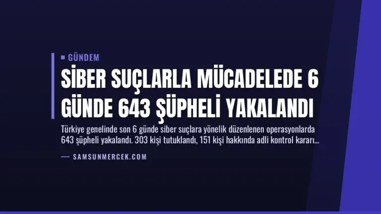 Siber Suçlarla Mücadelede 6 Günde 643 Şüpheli Yakalandı