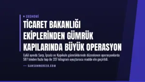 Ticaret Bakanlığı Ekiplerinden Gümrük Kapılarında Büyük Operasyon