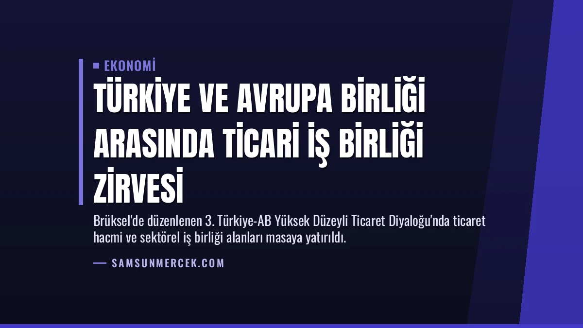 Türkiye ve Avrupa Birliği Arasında Ticari İş Birliği Zirvesi